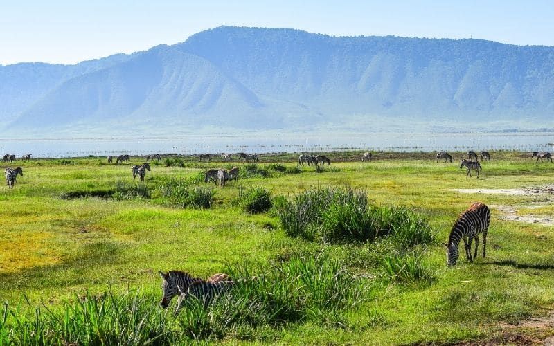 Cratere e riserva di Ngorongoro